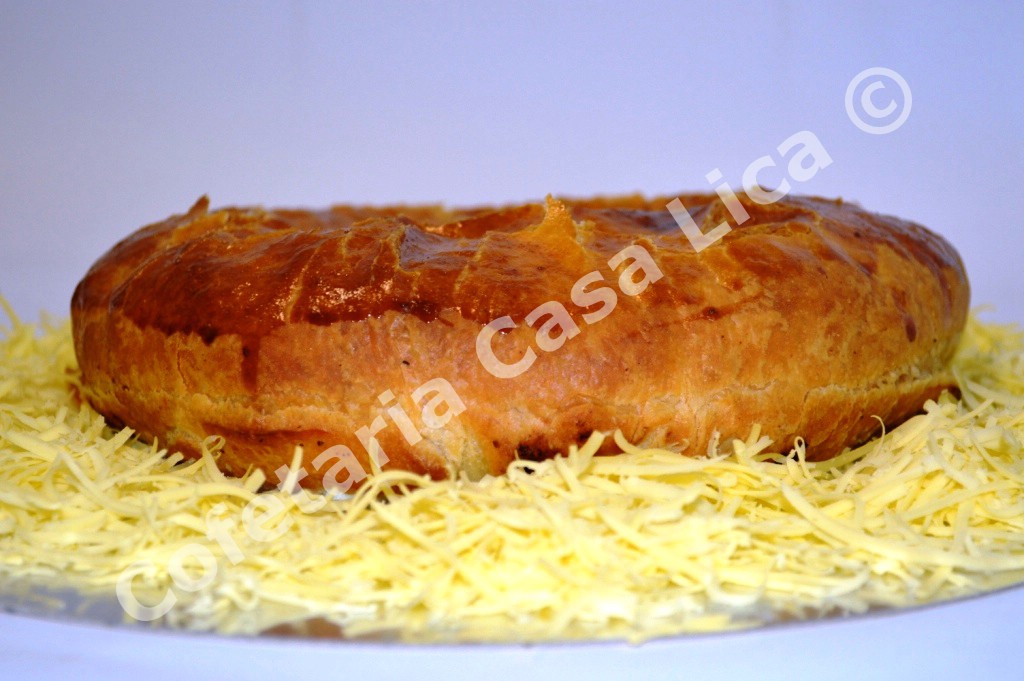 Placinta dobrogeana (3)